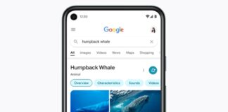 google-rolls-out-redesigned-mobile-search-pages