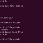 Conditional Statement in Linux Shell Programming