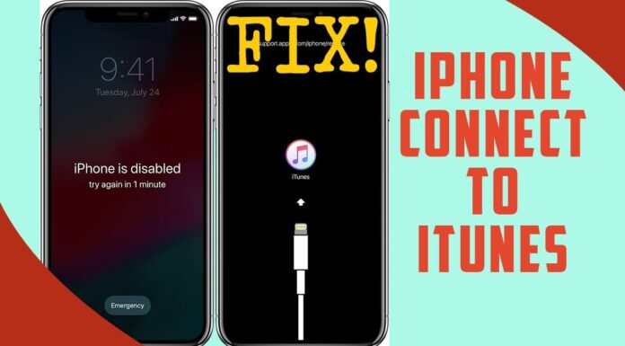 how-to-connect-iphone-to-itunes