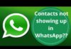 no-whatsapp-contacts-issue