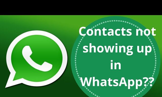 no-whatsapp-contacts-issue