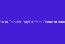 How to Transfer Playlist from iPhone to itunes