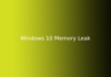 Windows 10 Memory Leak