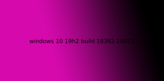 windows 10 19h2 build 18362.10013