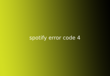 spotify error code 4