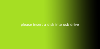 please insert a disk into usb drive
