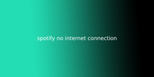 spotify no internet connection | spotify not connecting to internet iphone