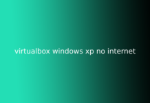 virtualbox windows xp no internet
