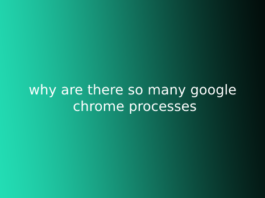 why are there so many google chrome processes