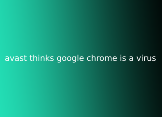 avast thinks google chrome is a virus