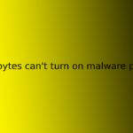malwarebytes can't turn on malware protection