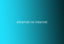 ethernet no internet