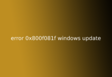error 0x800f081f windows update