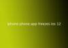 iphone phone app freezes ios 12