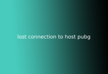 lost connection to host pubg