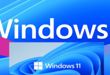 Windows 11 Beta released: How to download and update, and why to wait