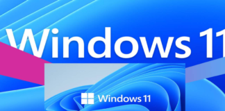 Windows 11 Beta released: How to download and update, and why to wait