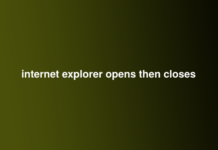 internet explorer opens then closes
