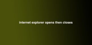 internet explorer opens then closes