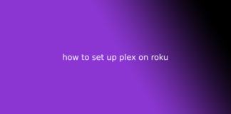 how to set up plex on roku