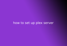 how to set up plex server