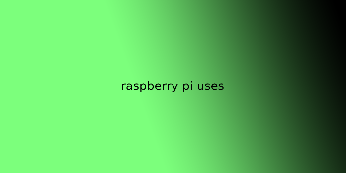 raspberry pi uses