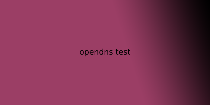 opendns test