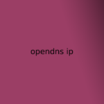 opendns ip