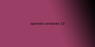 opendns windows 10
