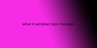 what is windows task manager