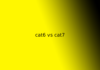 cat6 vs cat7