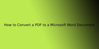 How to Convert a PDF to a Microsoft Word Document