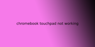 chromebook touchpad not working