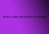 How to Use the Dolphin Emulator