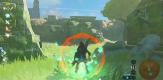 BOTW Player Glitches Into First-Person View Without Master Cycle