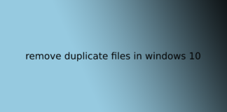 remove duplicate files in windows 10