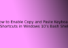 How to Enable Copy and Paste Keyboard Shortcuts in Windows 10’s Bash Shell