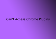 Can’t Access Chrome Plugins