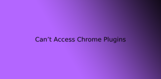 Can’t Access Chrome Plugins