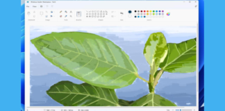 Windows 11 Microsoft Paint rolls out to Insiders with a new feature