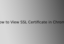 How to View SSL Certificate in Chrome