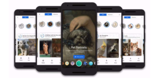 Google's latest ML technology finds your pet in art