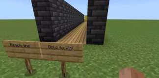 Entrants Easily Confused by Minecraft Maze Build's Changing Illusions