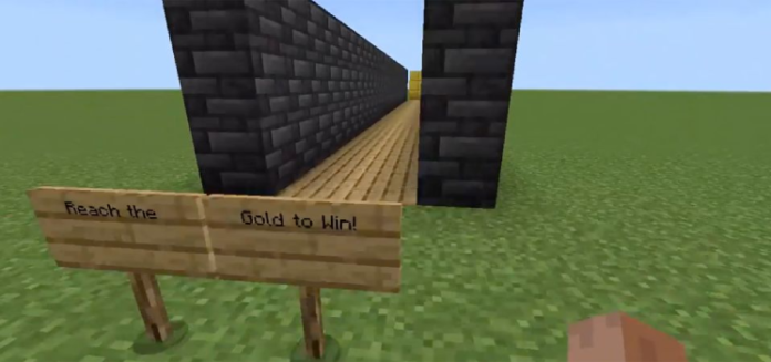 Entrants Easily Confused by Minecraft Maze Build's Changing Illusions