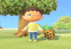 A Player in Animal Crossing Discovers a New Item That Protects Against Wasps