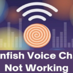 How to: Fix Clownfish Voice Changer Not Working