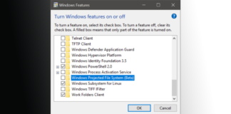 How to: Enable Windows Projected File System on Windows 10