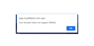 Your Browser Does Not Support WebGL