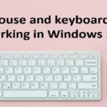 Keyboard and Mouse Not Working After Windows 10 Update