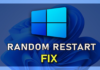 How to: Fix Windows 10 restarts randomly